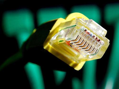 Stecker eines Netzwerkkabels. Die Bundesregierung will sich künftig von einem «Digitalrat» beraten lassen. Foto: Martin Gerten