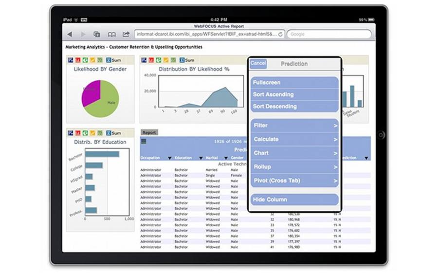 Webfocus Mobile Data Collection 