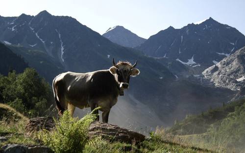 Berge, Bildquelle: Lea Sommerhäuser