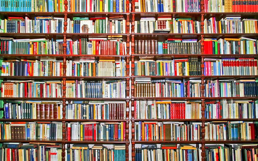 Bücherregal