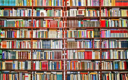 Bücherregal