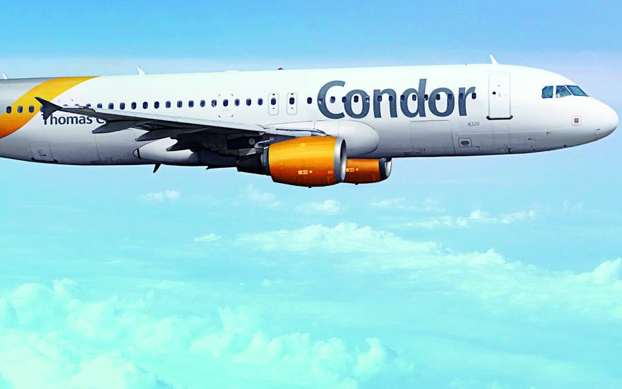 Condor