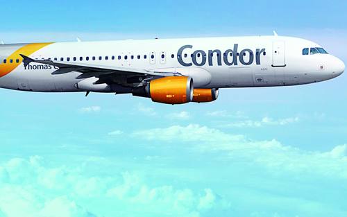 Condor