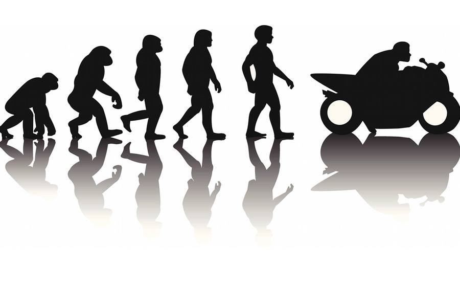 Evolution
