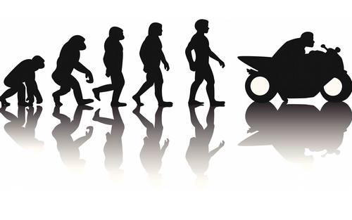 Evolution