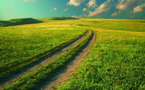 Grüne Wiese, Bildquelle: Thinkstock/iStock