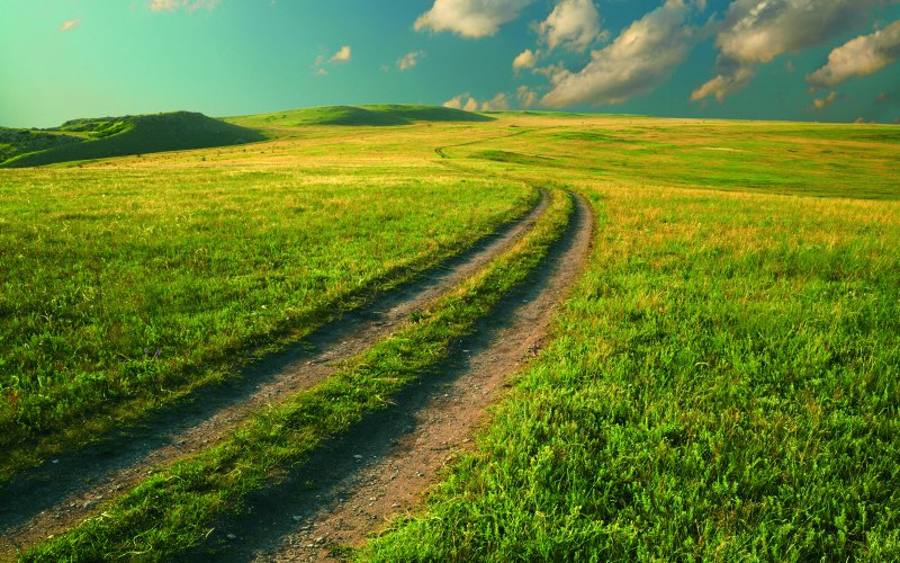 Grüne Wiese, Bildquelle: Thinkstock/iStock
