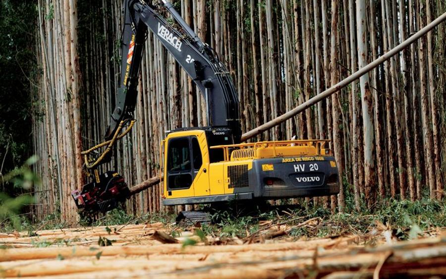 Wald, Bildquelle: Stora Enso
