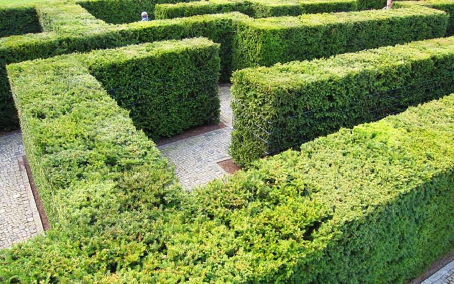 Labyrinth, Bildquelle: © Henrik Gerold Vogel/pixelio.de