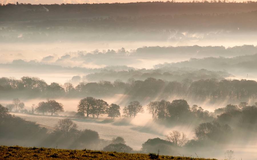 Edge Computing/Fog Computing