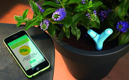 Flower Power, Bildquelle: Parrot