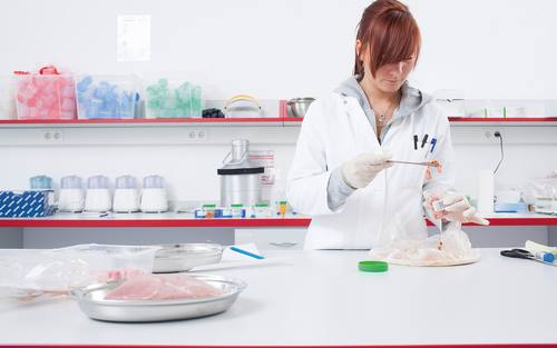Laborfachkraft am ­„Institut für Produktqualität (ifp)“ 
