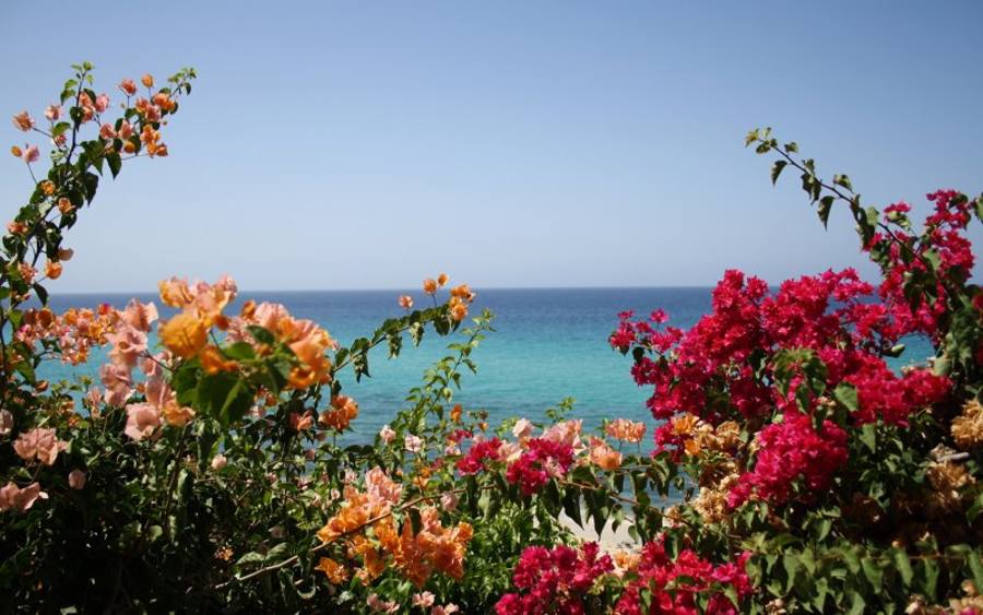 Meer, Bildquelle: Lea Sommerhäuser