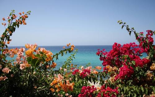 Meer, Bildquelle: Lea Sommerhäuser