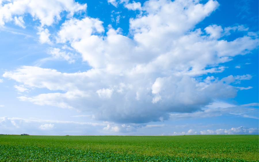 Cloud Management