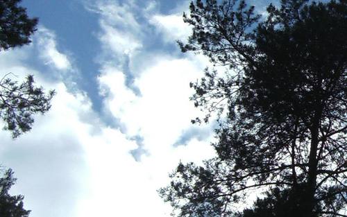 Wolken & Bäume, Bildquelle: © Lea Sommerhäuser