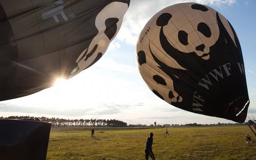 WWF Deutschland