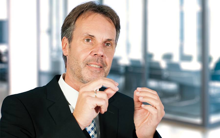 Manfred Zerwas, SER-Gruppe