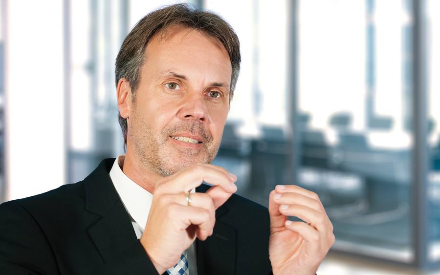 Manfred Zerwas, SER-Gruppe