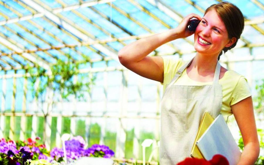 © Merulin Gartenbauservice