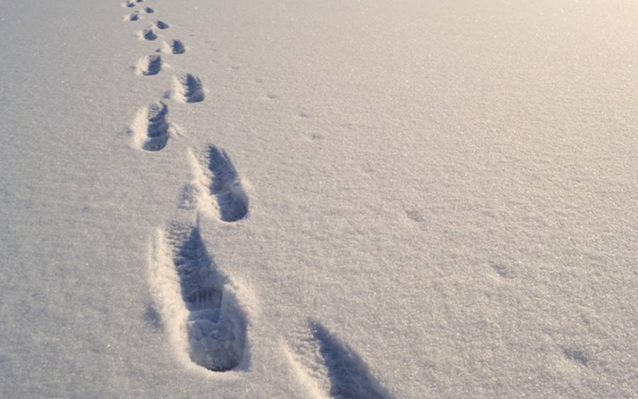 Spuren im Schnee-Hermsdorf-pixelio