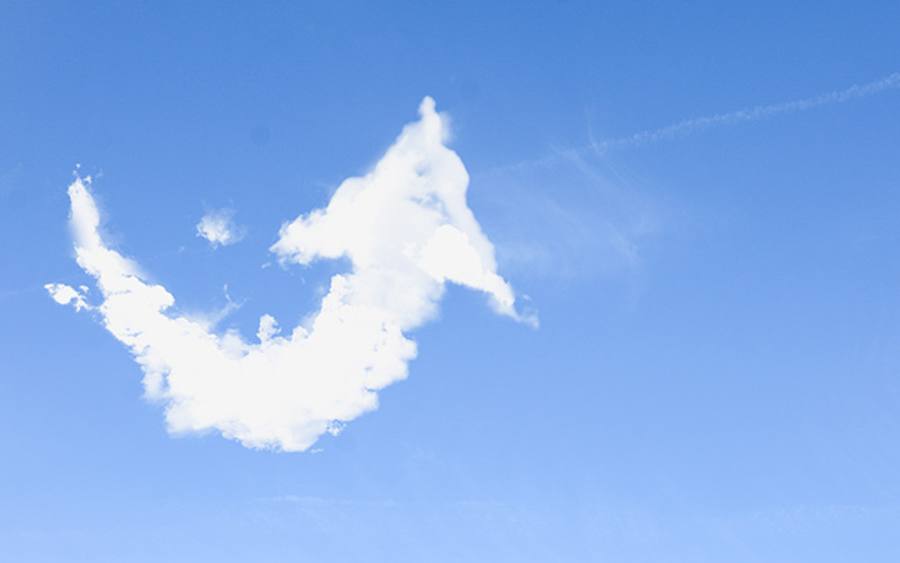 AWS und Arvato erweitern Partnerschaft