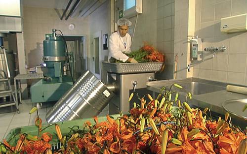 Cormeta pflegt Rezepturen mit SAP 