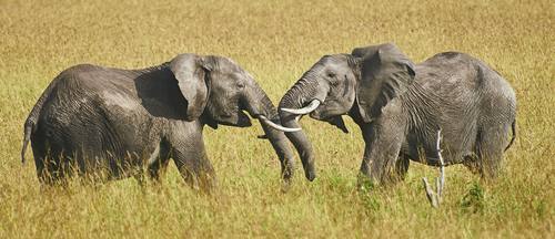 Sind Hadoop und NoSQL Rivalen oder Kollegen?