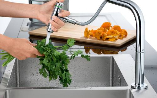 Hansgrohe Spülkombination
