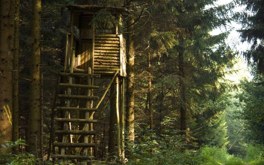 Hochsitz, Bildquelle: Carsten Przygoda/pixelio.de