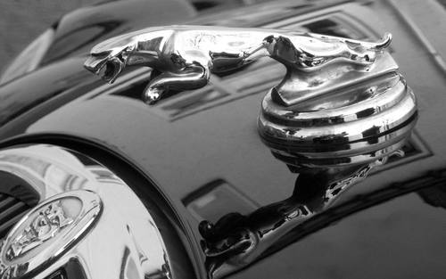 Carat-Gruppe integriert Automotive-IT 