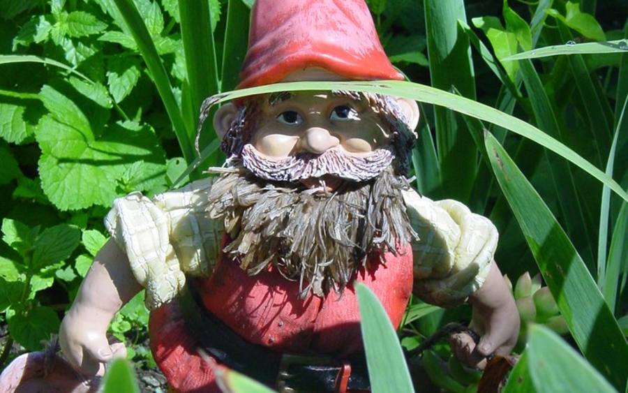 Zwerg, Bildquelle: Stephan Likar/pixelio.de