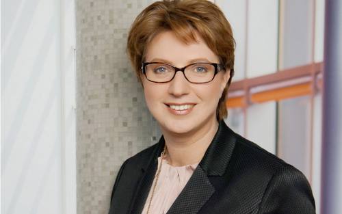 Sonja Pierer, Experis GmbH