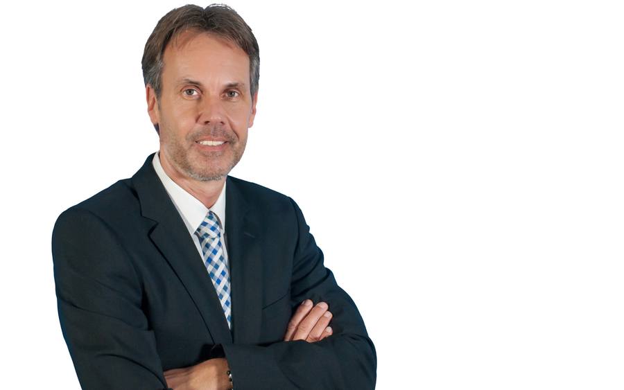 Manfred Zerwas, Ser-Gruppe