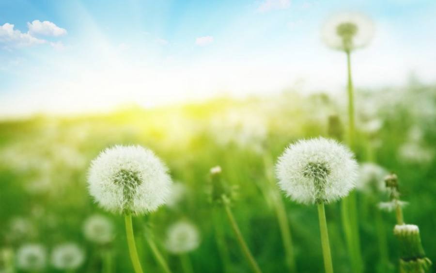 Sommer, Bildquelle: Thinkstock/iStock