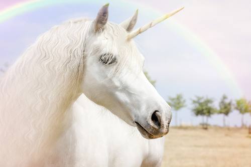 Ein Einhorn
