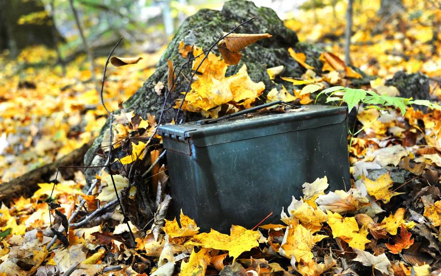 Geocache im Wald
