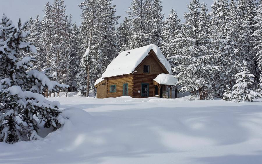 Winter