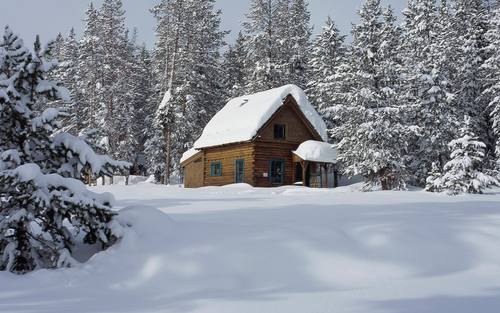 Winter