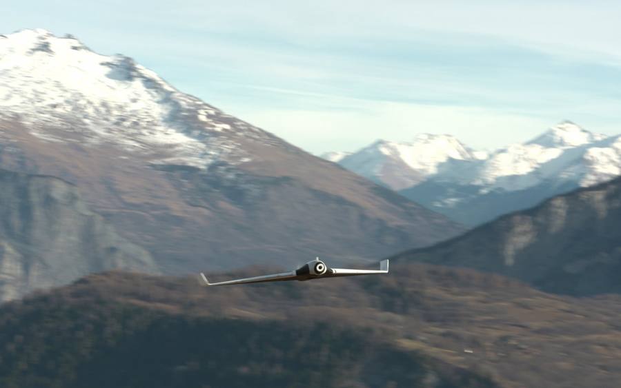 Parrot Disco