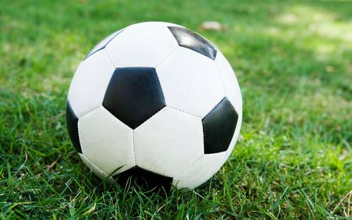 Fußball-Bundesligist Borussia Dortmund
