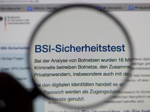 Die Internetseite des Bundesamtes für Sicherheit in der Informationstechnik (BSI). Botnetze setzen sich aus meist heimlich infizierten Computern zusammen, die dann von den Angreifern vernetzt werden. Foto: Armin Weigel