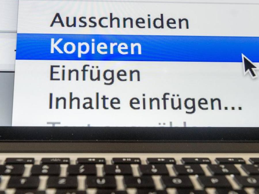 Die Verleger sorgen sich darum, dass Artikel in Sekundenschnelle von Dritten ausschnittsweise oder komplett übernommen, verwertet und vermarktet werden können. Foto: Armin Weigel