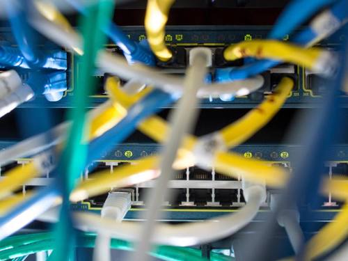 Mehrere Netzwerkkabel stecken in einem Serverraum in einem Switch. Foto: Matthias Balk/Archiv