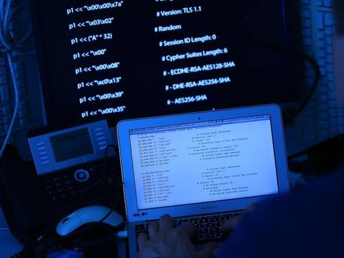 Digitale Erpressung und Computersabotage nehmen einer Studie zufolge zu. Foto: Oliver Berg