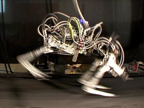 Diese Roboter-Laufstudie der US-Firma Boston Dynamics erinnert an einen Geparden. Foto: Boston Dynamics
