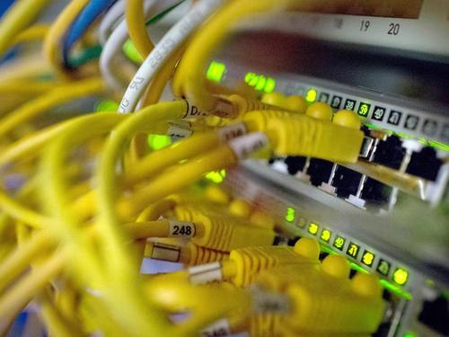 Netzwerkkabel: Upload-Filter sollen das Hochladen von urheberrechtsverletzenden Inhalten verhindern. ((Foto: Matthias Balk))