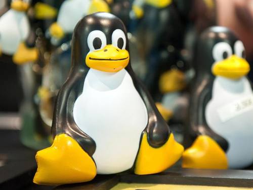 Tux-Figuren, Maskottchen des Open-Source-Betriebssystems Linux ((Foto: Tobias Kleinschmidt))