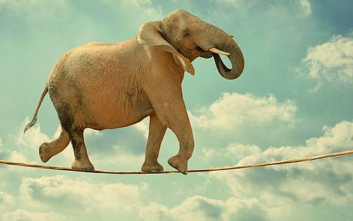 Elefant, Bildquelle: Thinkstock/iStock