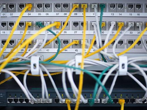 Zahlreiche Netzwerkkabel stecken in einem Serverschrank. Foto: Jens Büttner/dpa-Zentralbild/dpa
